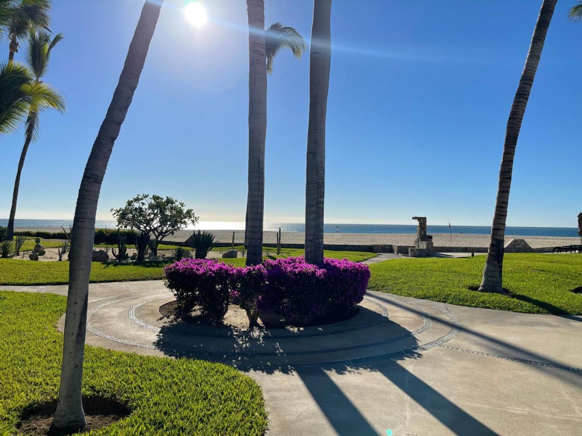Las Mananitas Lejlighedshotel San José del Cabo Eksteriør billede